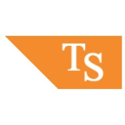 TechSource, Inc. logo