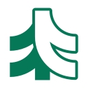 Tsuga