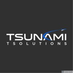 tsunamitsolutions.com
