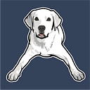 Tucker Pup's Pet Resort logo