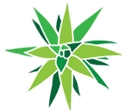 Tucson Desert Art Museum logo