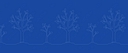 Tucson International Academy logo