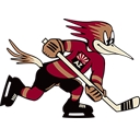 Tucson Roadrunners logo