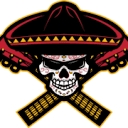 Tucson Sugar Skulls logo