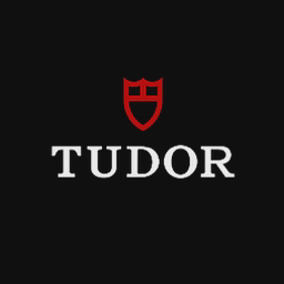 tudorwatch.com
