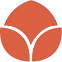 Tulip Time Festival logo