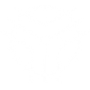 Tulsa Artist Fellowship LLC