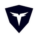 Turing Video Inc. logo