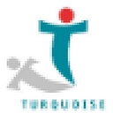 Turquoise Ltd logo