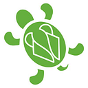 TURTLE RIDGE FOUNDATION INC logo
