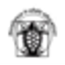 Turtle River Montessori logo