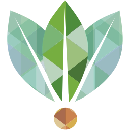 Twelve Oaks Software Ltd logo