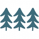 Twfg Insurance (The Woodlands Financial Group) logo
