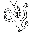 Favicon of Twiggy Creative (LinkedIn profile)