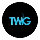 Twig International logo