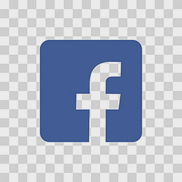 TWIN INTERNATIONAL logo