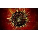 Twisted Planet Marketing Inc logo
