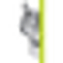 T-Wolf logo