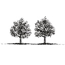 Favicon of Two Trees Manangement