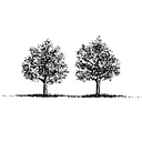 Two Trees Management Co. logo