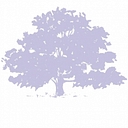 Tyndallwoods Solicitors logo