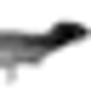 Royal Tyrrell Museum Of Palaeontology logo