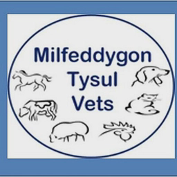 TVG Llandysul Ltd T/A Tysul Vets logo