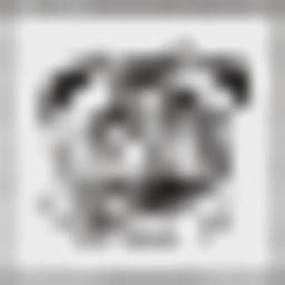 The UK Dog Breeding Academy Ltd logo