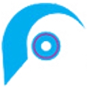 Flair Gymnastics logo