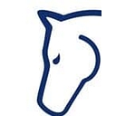 Unbridled Pediatric Therapy