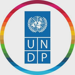 Logo of undp.org