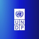 undp.org icon