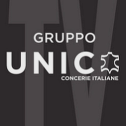 Logo of unic.it