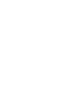 Unicom Government Inc. logo