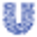 Equal Opportunity Employer: Unilever