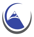 Unique Capital Management, Llc logo