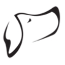 unleashedpotential.shop icon