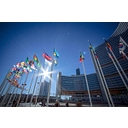 Favicon of UNODC