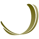 UROLOGY ASSOCIATES LLC