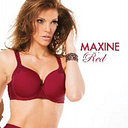FIT FULLY YOURS LINGERIE (USA)