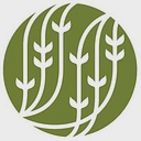 Palais des Thés logo