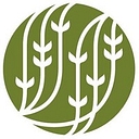 Palais des Thés logo