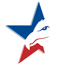 USA InfoTech logo