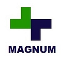 Magnum   The Platinum Xerox Dealer logo