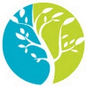 Career Networks Institute