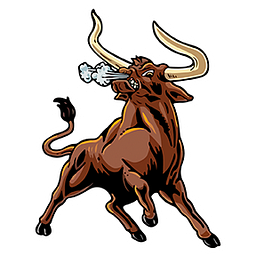 USD 363 Virtual Academy logo