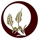 USD 489