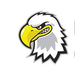 Blind South logo