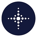 Usdm Life Sciences logo