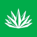 Agave API logo